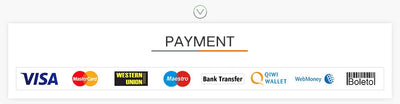 Payment methods icons: Visa, MasterCard, Western Union, Maestro, Bank Transfer, QIWI Wallet, WebMoney, Boleto.