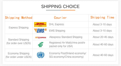 Shipping choices for packages, detailing methods, couriers, and estimated delivery times.