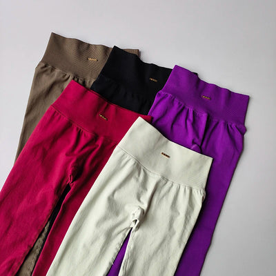 Colorful seamless leggings collection in beige, black, burgundy, pink, and purple for women's fitness and yoga.