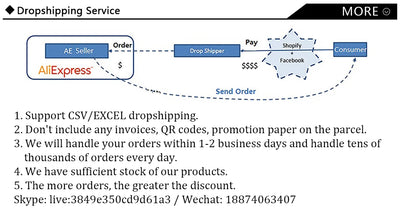 Flowchart illustrating the dropshipping service process with support for CSV/EXCEL and order handling details.