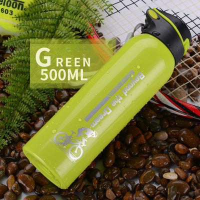 https://freeunderwater.com › products › 500ml-bicycle-water-bottle-vacuum-stainless-steel-cycling-water-bottle-double-walled-simple-thermo-mug-insulated-with-straw