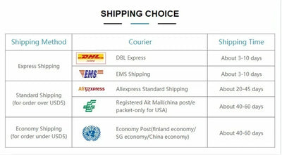Shipping options table displaying various couriers and estimated delivery times for different shipping methods.